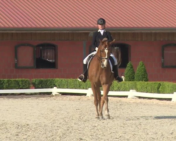 Reitturnier Baldham 2018