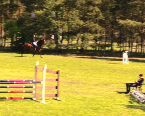Reitturnier Altbarnim 2018