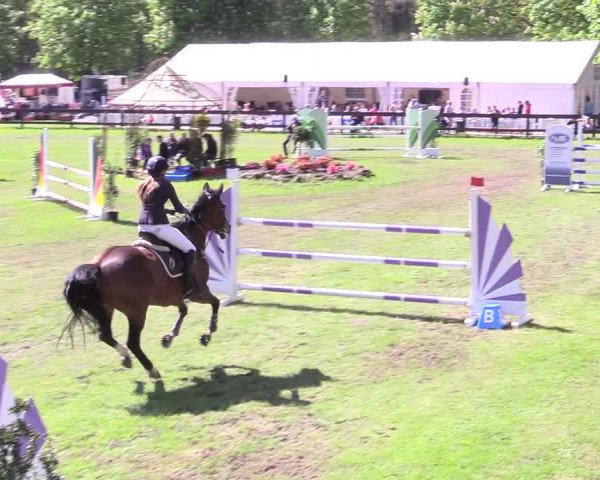 Reitturnier Meppen 2018