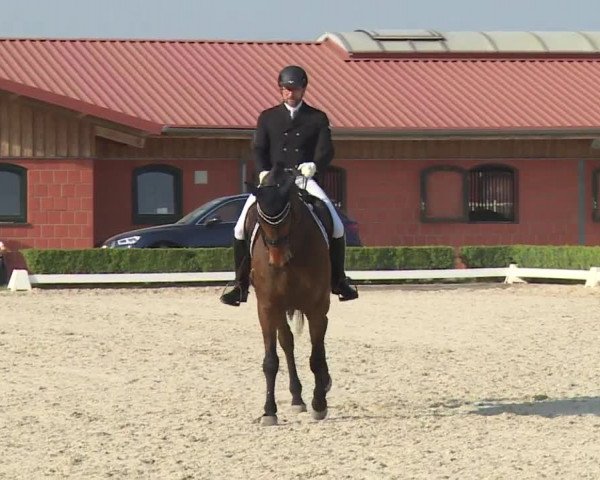 Reitturnier Baldham 2018