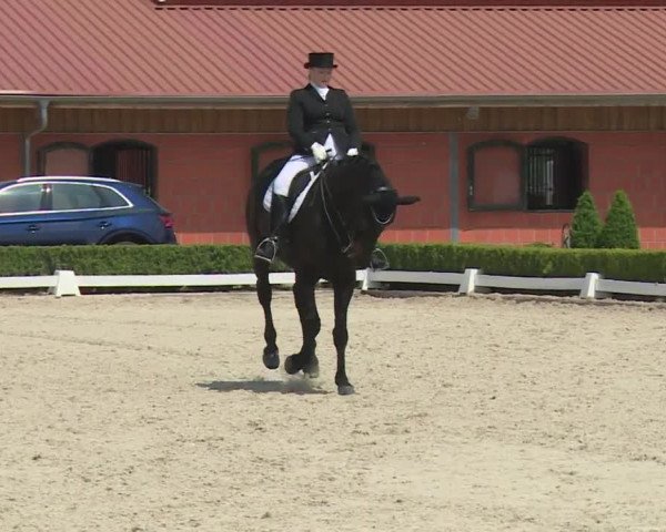 Reitturnier Baldham 2018