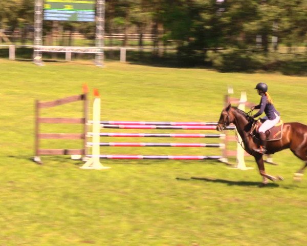 Reitturnier Altbarnim 2018
