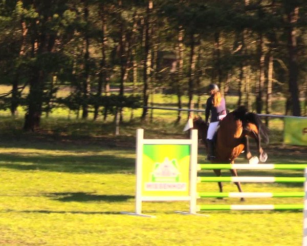 Reitturnier Altbarnim 2018