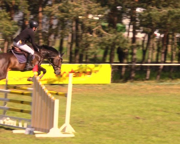 Reitturnier Altbarnim 2018