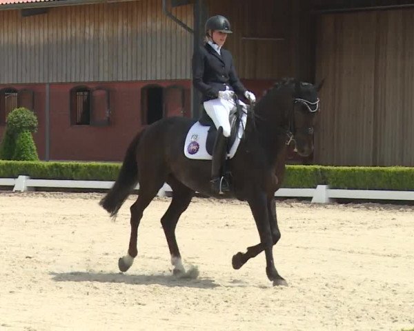 Reitturnier Baldham 2018