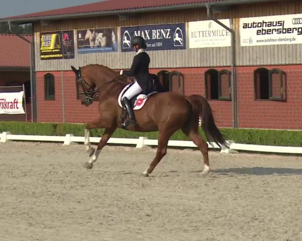Reitturnier Baldham 2018