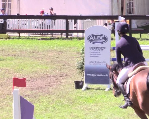 Reitturnier Meppen 2018