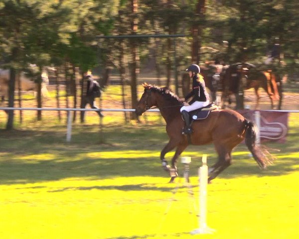 Reitturnier Altbarnim 2018