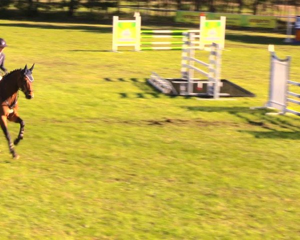 Reitturnier Altbarnim 2018