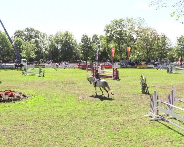 Reitturnier Meppen 2018