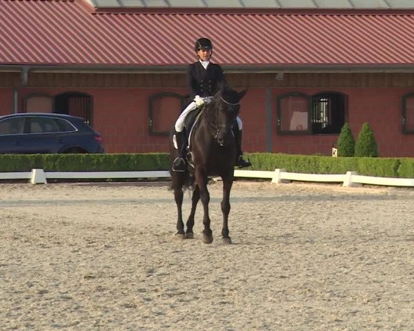 Reitturnier Baldham 2018