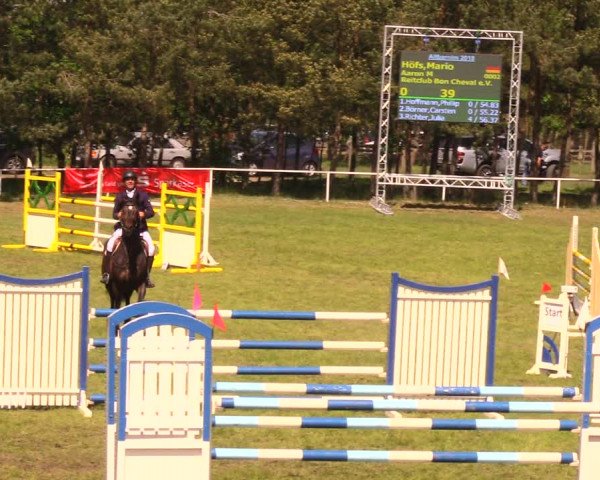 Reitturnier Altbarnim 2018