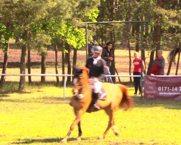 Reitturnier Altbarnim 2018