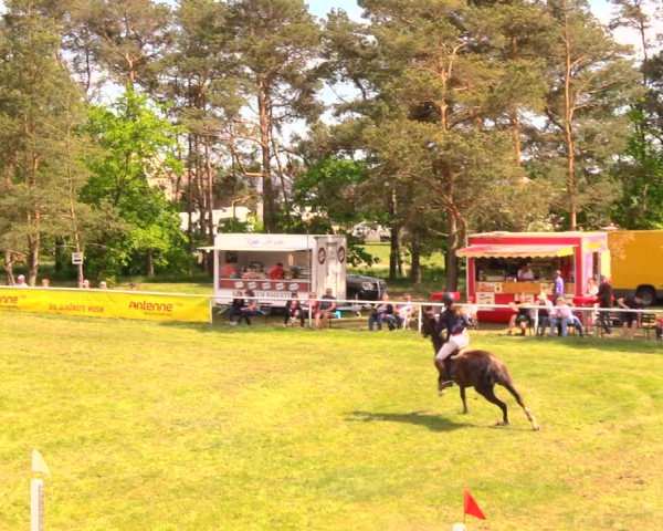 Reitturnier Altbarnim 2018