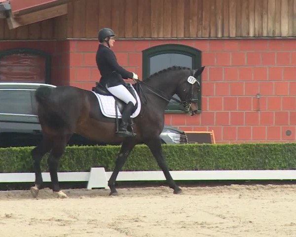 Reitturnier Baldham 2018