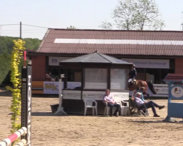 Reitturnier Havixbeck 2018