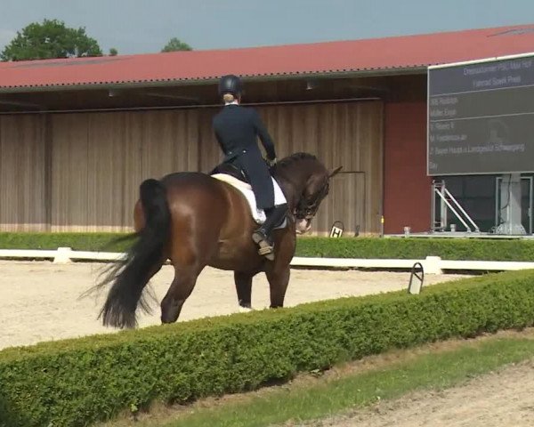 Reitturnier Baldham 2018