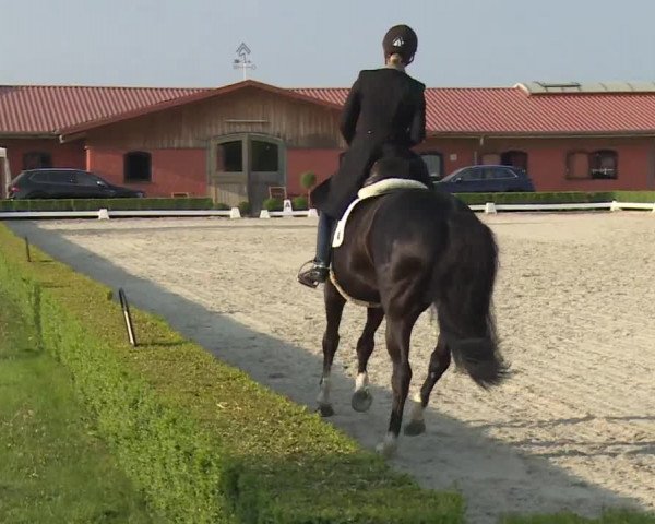 Reitturnier Baldham 2018