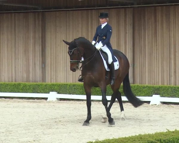 Reitturnier Baldham 2018