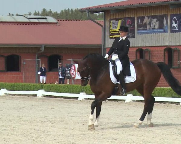 Reitturnier Baldham 2018