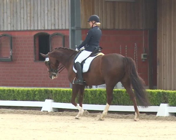 Reitturnier Baldham 2018