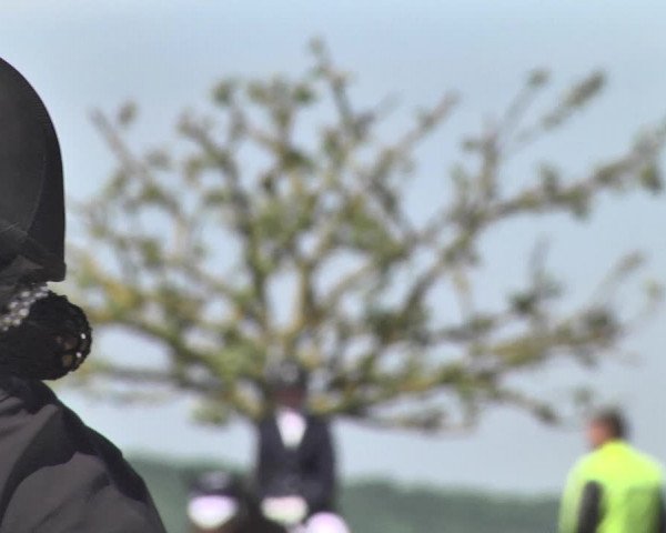 Fürstenwald Dressurtage 2018