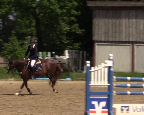 Reitturnier Havixbeck 2018