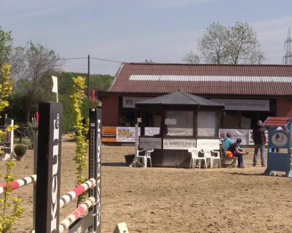 Reitturnier Havixbeck 2018