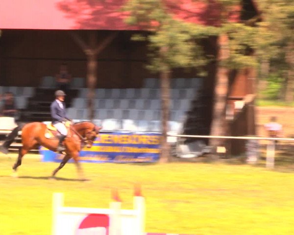 Reitturnier Altbarnim 2018