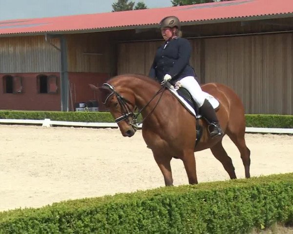 Reitturnier Baldham 2018