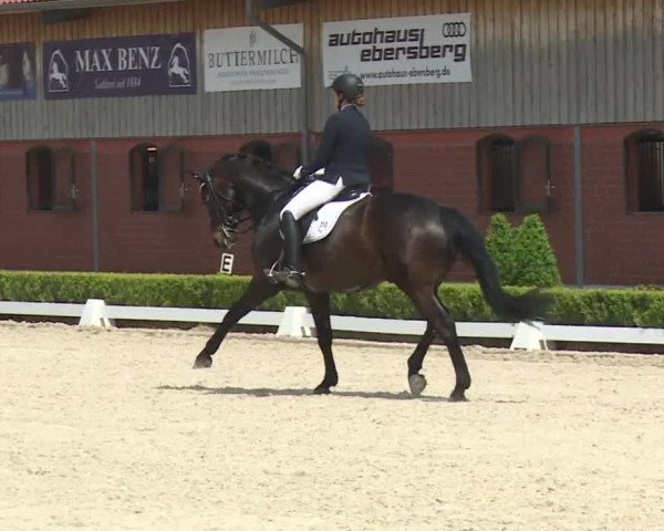 Reitturnier Baldham 2018