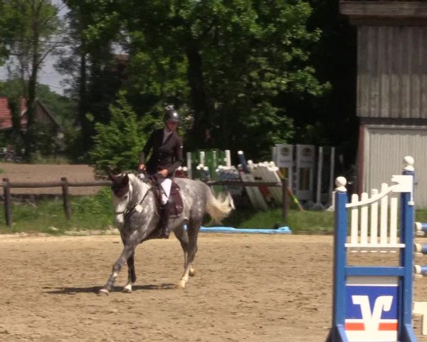 Reitturnier Havixbeck 2018