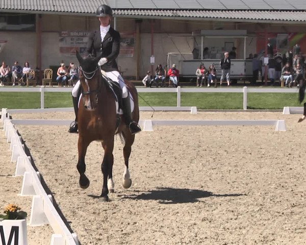 Fürstenwald Dressurtage 2018