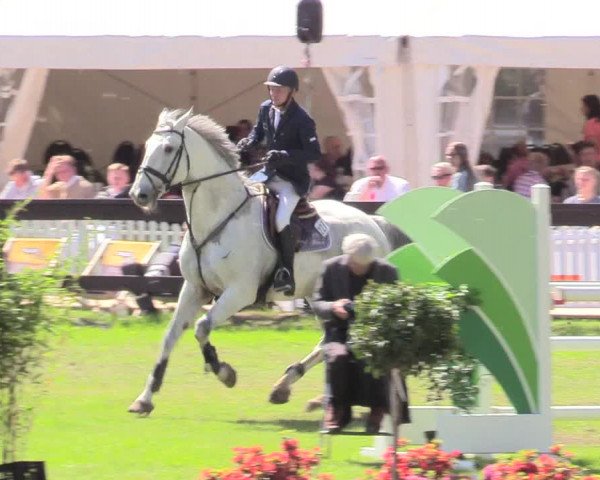 Reitturnier Meppen 2018