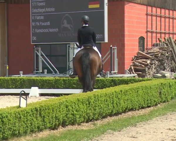 Reitturnier Baldham 2018