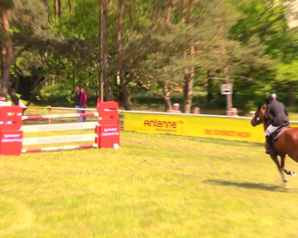 Reitturnier Altbarnim 2018