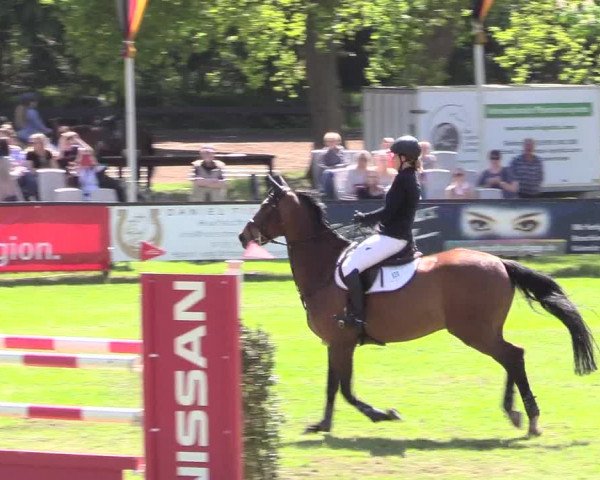 Reitturnier Meppen 2018