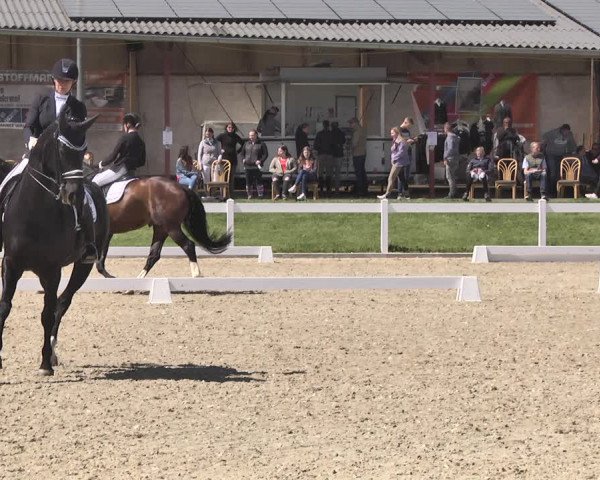 Fürstenwald Dressurtage 2018