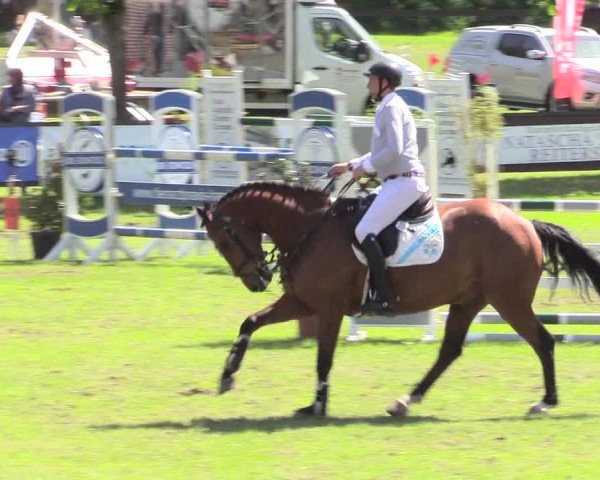 Reitturnier Meppen 2018