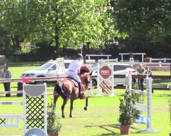 Reitturnier Meppen 2018