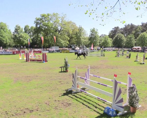 Reitturnier Meppen 2018