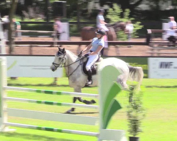 Reitturnier Meppen 2018
