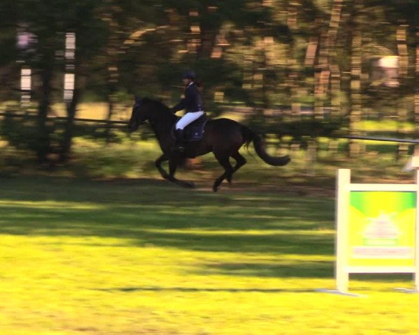 Reitturnier Altbarnim 2018