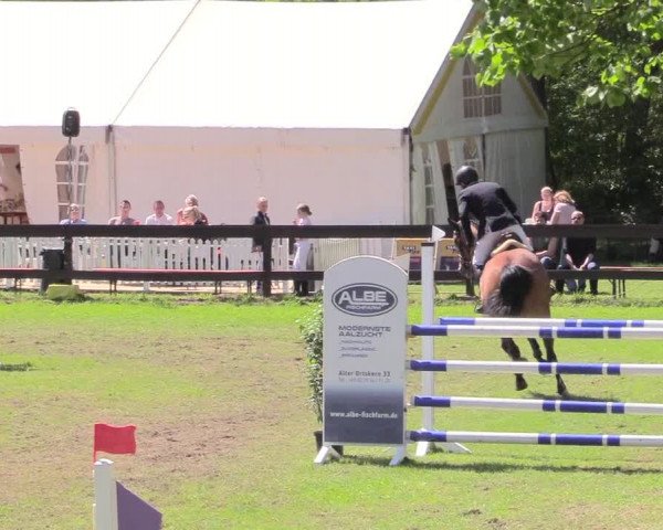 Reitturnier Meppen 2018