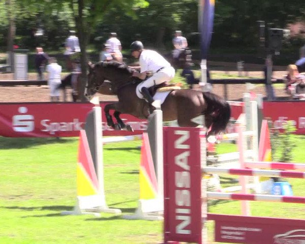 Reitturnier Meppen 2018