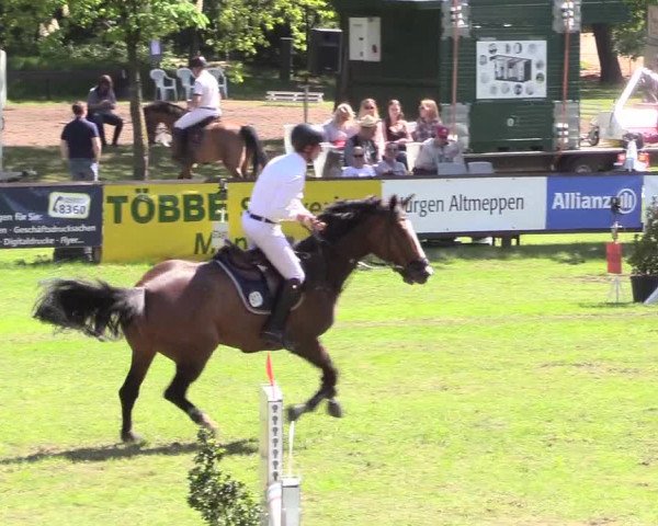 Reitturnier Meppen 2018