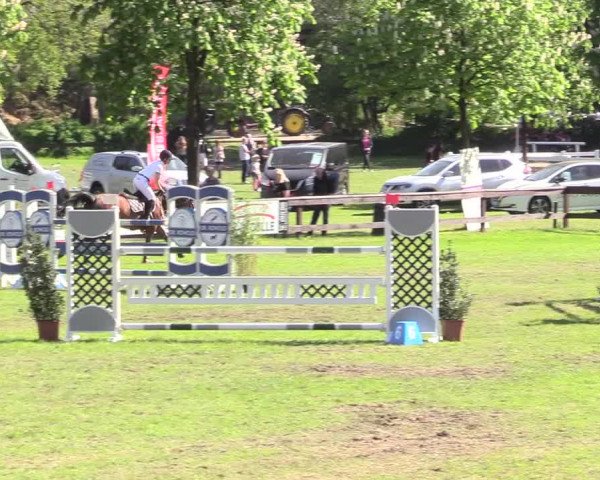 Reitturnier Meppen 2018