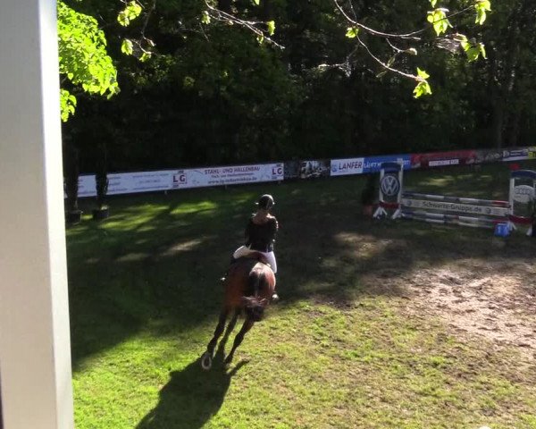 Reitturnier Meppen 2018