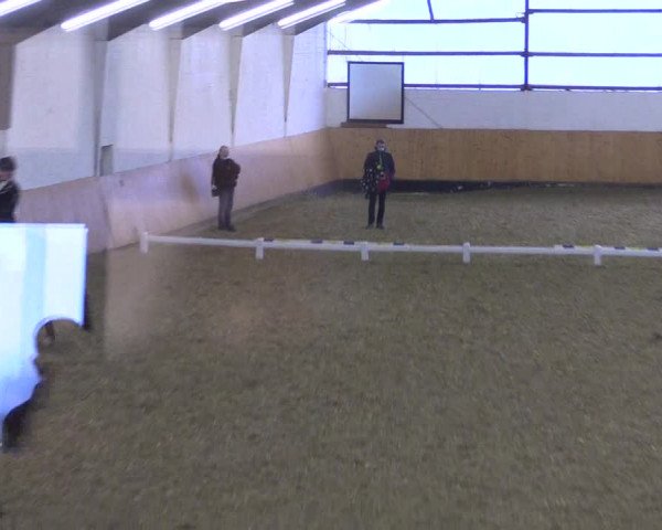 Reitturnier Datteln 2021