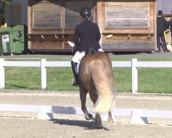 Fürstenwald Dressurtage 2018